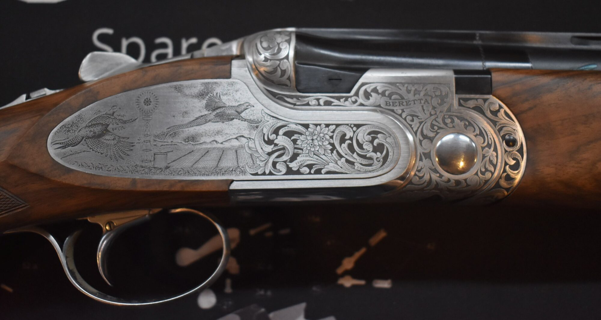 Beretta Dt11 EELL Sporting Game scene Australia