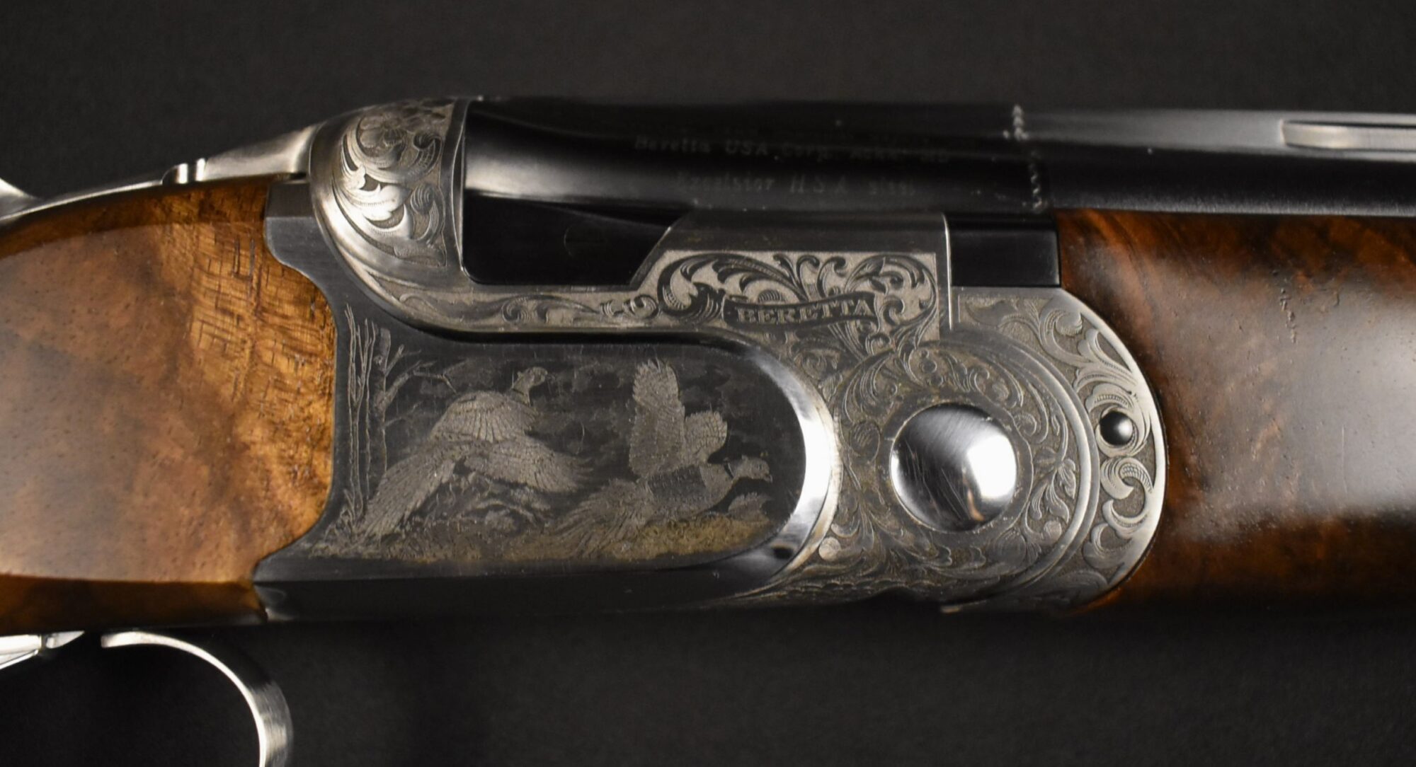 Beretta DT11L Australia