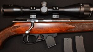 WINCHESTER WILDCAT BOLT ACTION .22LR + SCOPE..